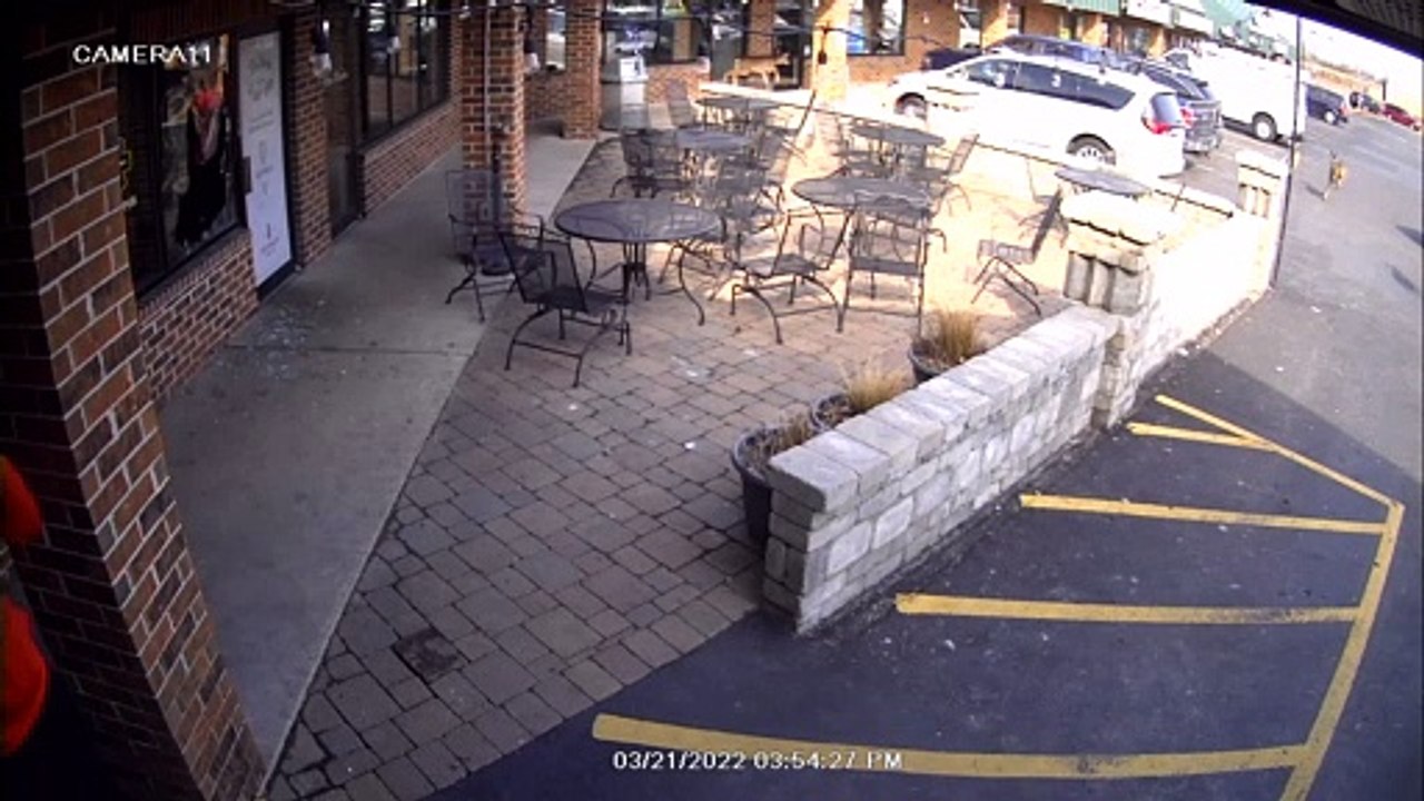 Deer Herd Crashes into Wisconsin Pub