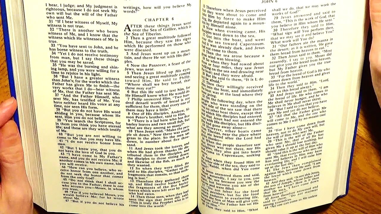 John 6, the New Testament