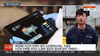 가축 무게 알아서 '척척'…"일손 덜고 소득 높여"