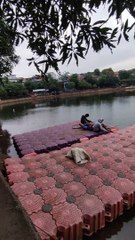 helicopter inspiration dragonfly