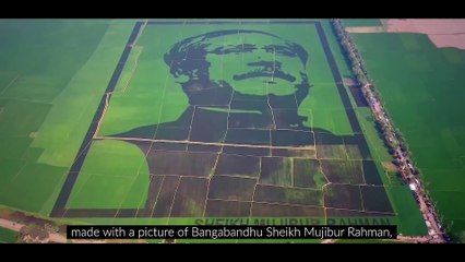 Bachelor Point Season 4 - Episode 7 - Ziaul Hoque Polash - Mishu Sabbir - Sanjana Sarkar Riya