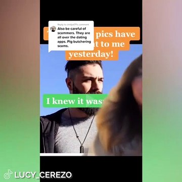 Pig-Butchering : Quelle Est Cette Tactique D'arnaque Qui Sévit Sur Les Applications De Rencontres ?