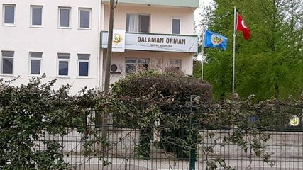 MUĞLA'DA 'RÜŞVET' OPERASYONU; ORMAN İŞLETME MÜDÜRÜ DAHİL 25 GÖZALTI