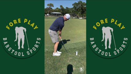 I Never Thought Chipping Would Be This Exhausting