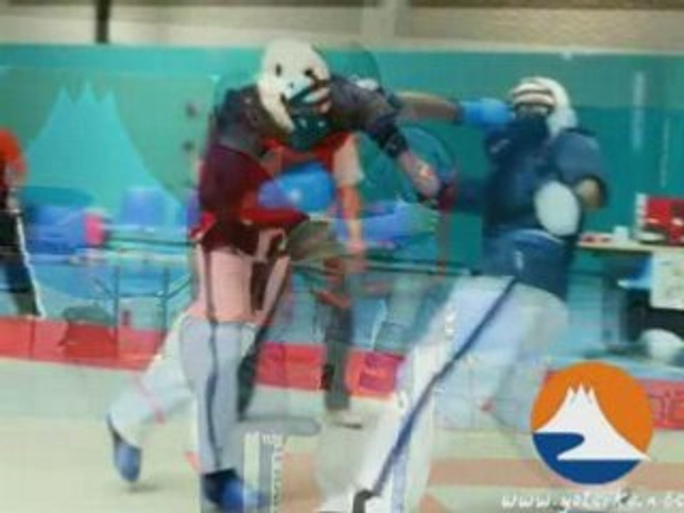 Best Of Yoseikan Budo Coupe Du Monde 2007 Belgium