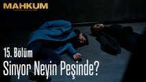 Sinyor neyin peşinde? - Mahkum 15. Bölüm