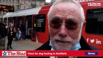 Should Sheffield Council fine people more for their dogs fouling the streets of Sheffield