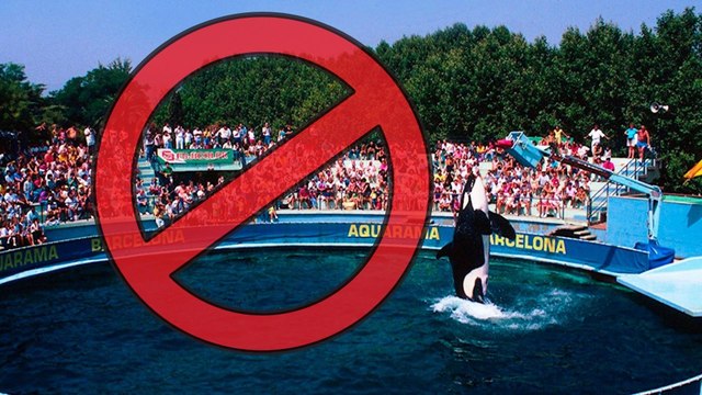 Eliminen un dels espais més emblemàtics del Zoo de Barcelona després de gairebé 30 anys