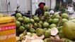 Master of Coconut Cutting Skills - Cambodian Street Food