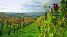 Jamie cocina en Italia 6/8 - La Toscana