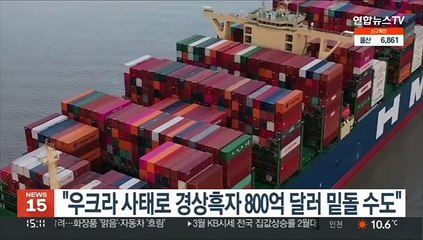 "우크라 사태로 경상흑자 800억달러 크게 밑돌 수도"