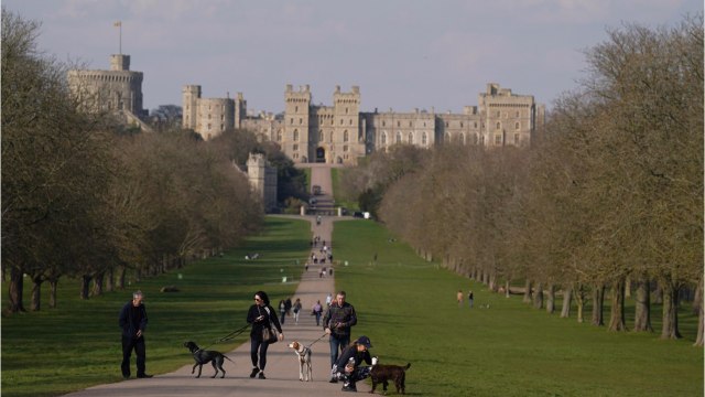 Ce couple refuse de vendre son terrain malgré l'offre faramineuse de promoteurs immobiliers