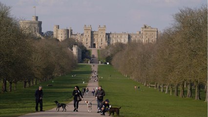 Ce couple refuse de vendre son terrain malgré l'offre faramineuse de promoteurs immobiliers