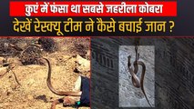 कुएं में फंसा था जहरीला नाग, देखें वीडियो कैसे निकाला गया कोबरा?