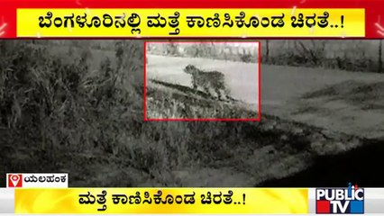 CCTV Footage Of Leopard Roaming Near Yelahanka Rail Wheel Factory