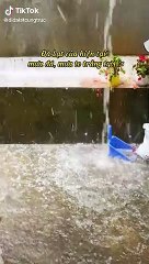 Mưa đá rất lớn tại Đà Lạt