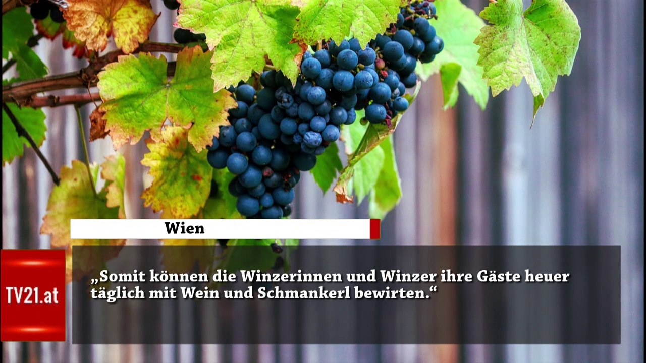 Wiener Buschenschanken Auch 2022 längere Öffnungszeiten im Weingarten