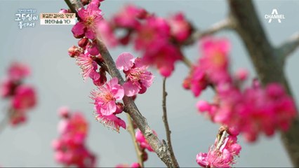 두심과 은혜의 소박하고 즐거운 산책, 그 속에서 마주한 동화 같은 풍경