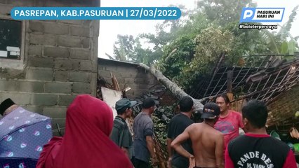 Pohon Tumb4ng di Pasrepan Timp4 Rumah dan Motor | Pasuruan Hari Ini