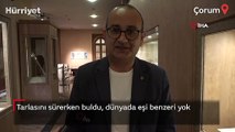 Tarlasını sürerken buldu, dünyada eşi benzeri yok