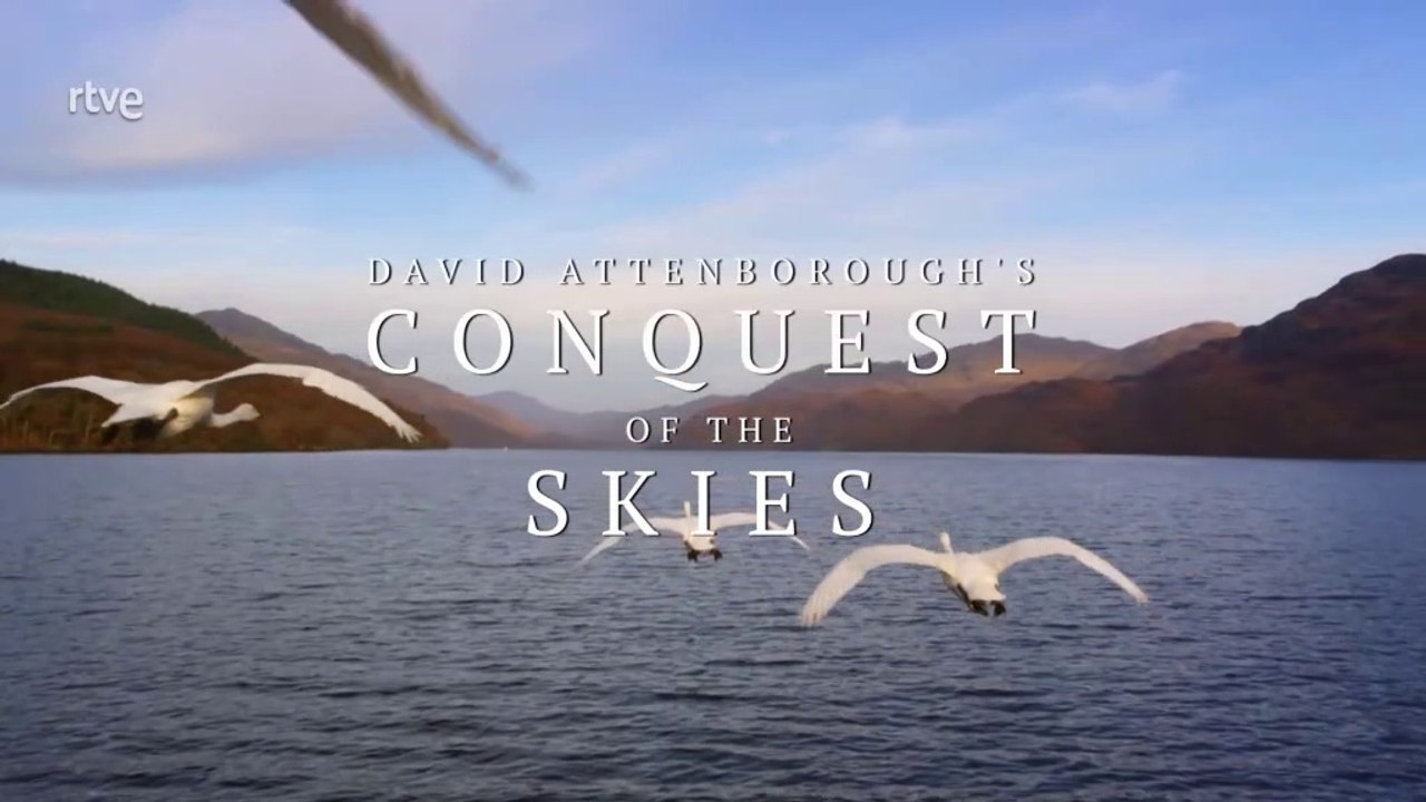 La conquista de los cielos  1/3:  Los primeros en volar  [Documental HD]