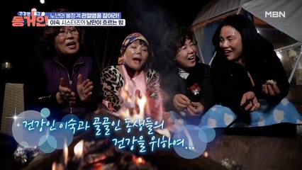 캠핑장에 고구마와 불멍이 빠질 순 없다! 이숙 시스터즈의 낭만이 흐르는 밤!