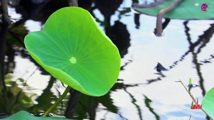 intro-logo-15-min-20220327-140604