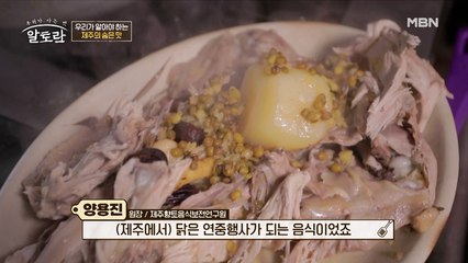 '꿩 대신 닭'!! 멸종 위기에 처한 닭을 구한 제주도민들
