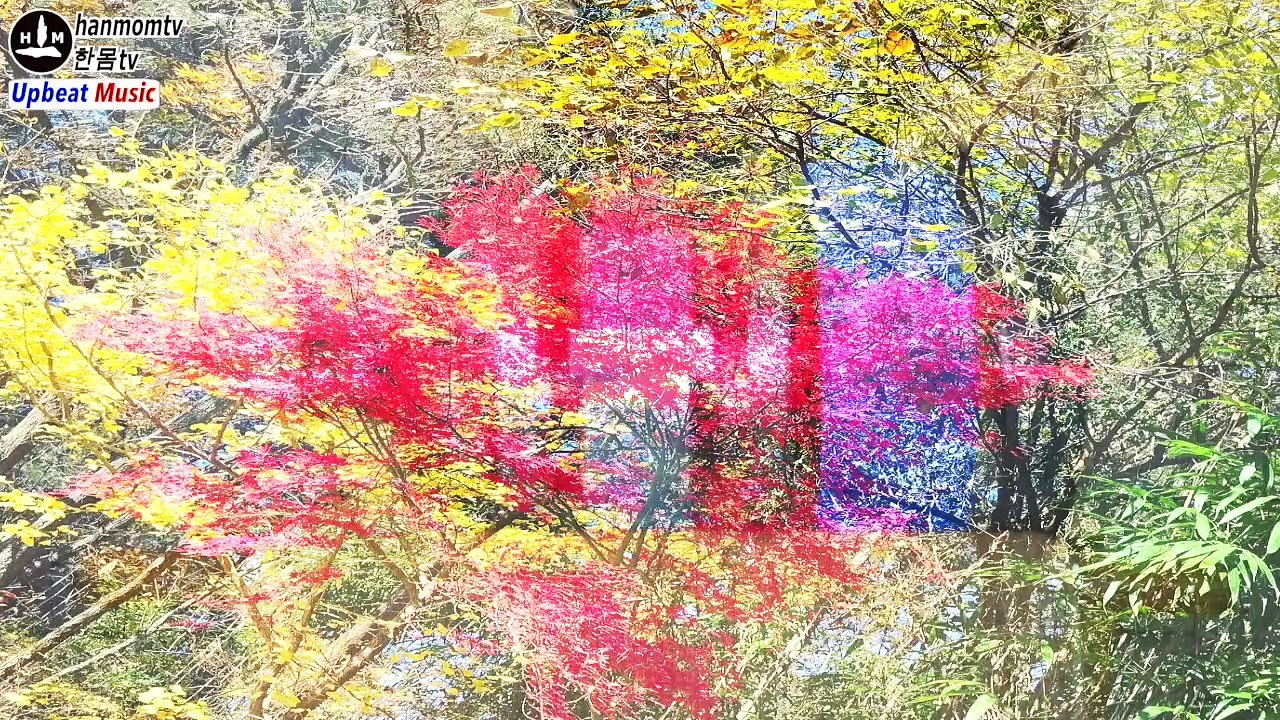 Upbeat music Uplifting pleasant music | Vibe up music for uplifting positive mood 30 minutes 신나는 음악 경쾌하고 신나는노래모음