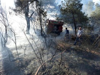 SOMA'DA ÇIKAN ORMAN YANGINI SÖNDÜRÜLDÜ