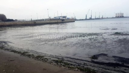 Bassa marea eccezionale a Barletta - 27 marzo 2022