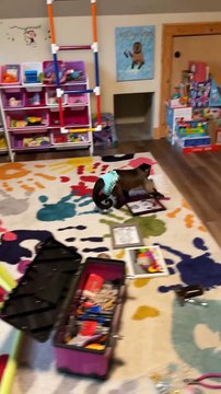 Chilling! Hanging artwork! Gaitlyn Rae