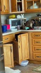 living her best life in her own world