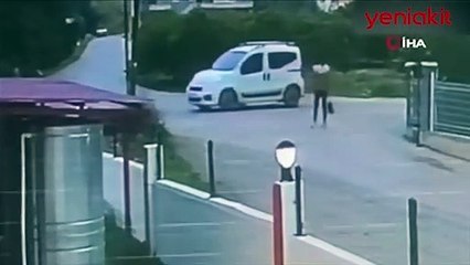 Sokak köpekleri genç kıza dehşeti yaşattı! O anlar anbean kaydedildi