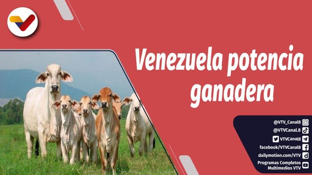 Semana Presidencial | Venezuela incrementará su producción ganadera