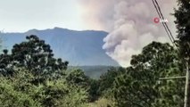 Meksika'yı orman yangınları vurdu: Son 24 saatte 39 yangın