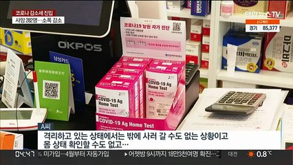 자가검사키트 제한 풀렸는데…"온라인 구매 안 되나요"