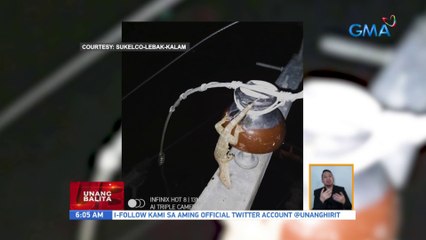 Tuko, sanhi raw ng brownout sa ilang lugar sa Sultan Kudarat | UB