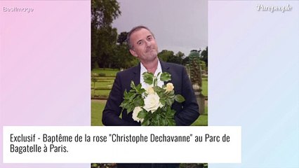 Christophe Dechavanne "engueulé deux ou trois fois" par une actrice, il raconte...