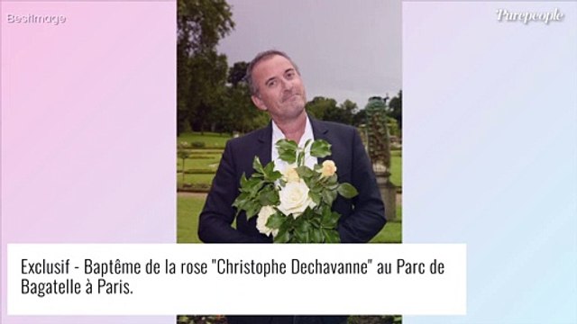 Christophe Dechavanne engueulé deux ou trois fois par une actrice, il raconte...