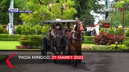 Momen Presiden Jokowi Momong Cucu Naik Delman di Yogya!