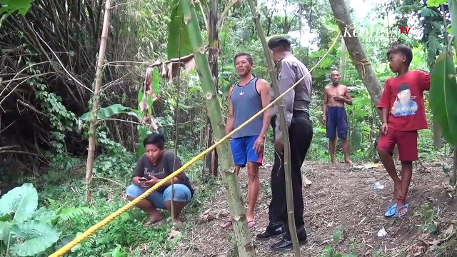 Warga Resah, 2 Buaya Muara Besar Muncul di Sungai Brantas Kediri