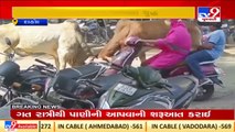 Bulls lock horns in the middle of a busy street , Dahod _ Tv9GujaratiNews