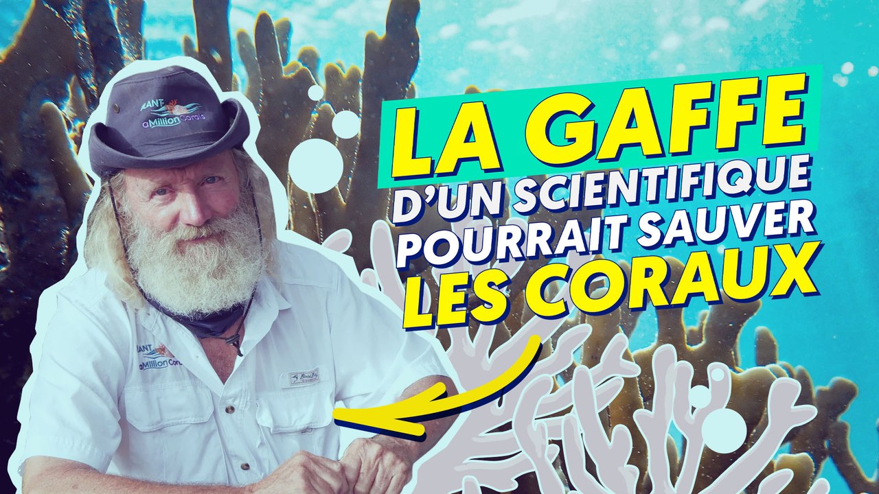Comment cette gaffe pourrait sauver les coraux