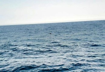 İğneada'da açıklarında bulunan mayın böyle görüntülendi