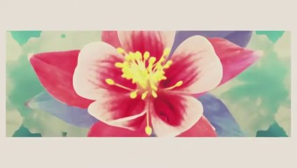 Zapukaj do moich drzwi - odc.76