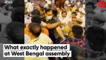 Ruling, Opposition members clash in Bengal Assembly over Birbhum violence