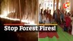 Forest Fires In Sanctuary Triggers Protest