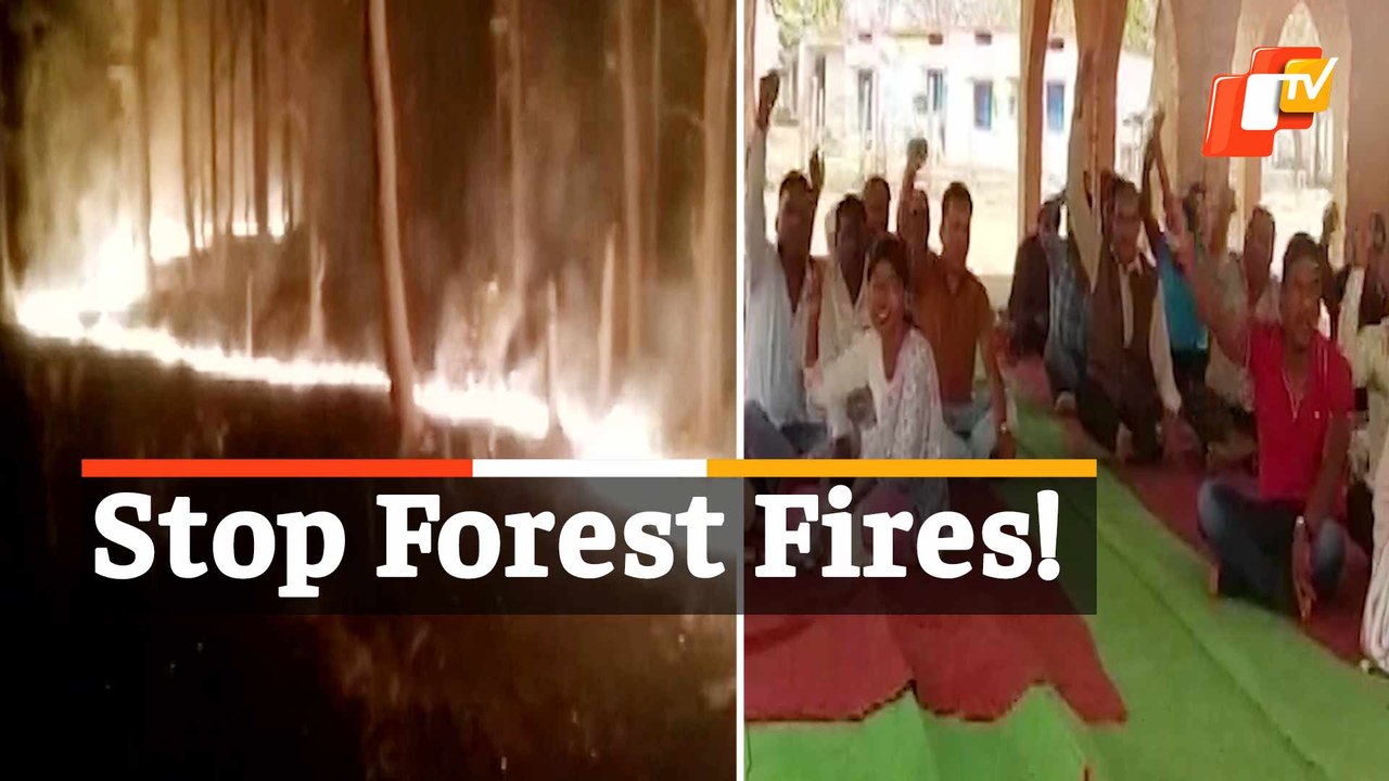 Forest Fires In Sanctuary Triggers Protest