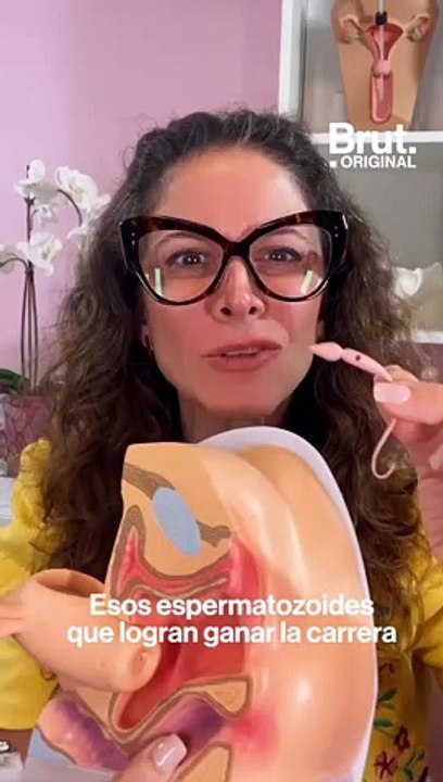 9 preguntas sobre el esperma